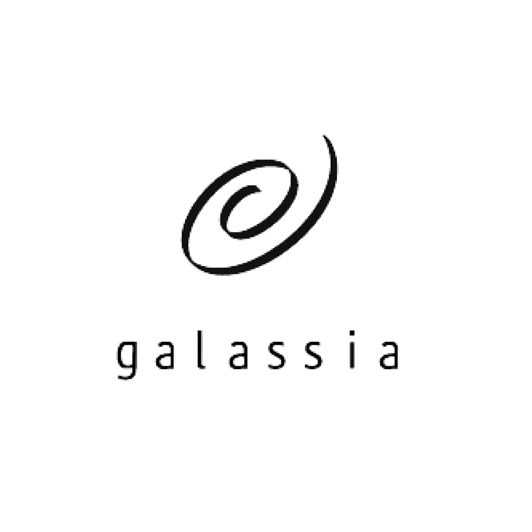 Galassia Srls